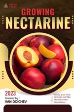 Nectarine: Guide and overview