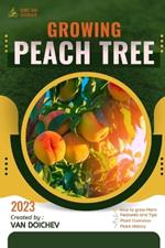 Peach Tree: Guide and overview