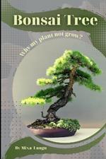 Bonsai Tree: Why my Plant not grow? problems and their solutions