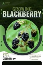 Blackberry: Guide and overview