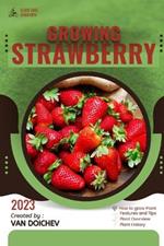 Strawberry: Guide and overview