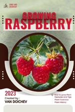 Raspberry: Guide and overview