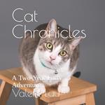 Cat Chronicles: A Two-Year Furry Adventure