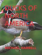 Ducks of North America