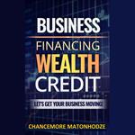 Business Financing, Wealth, Credit