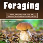 Foraging