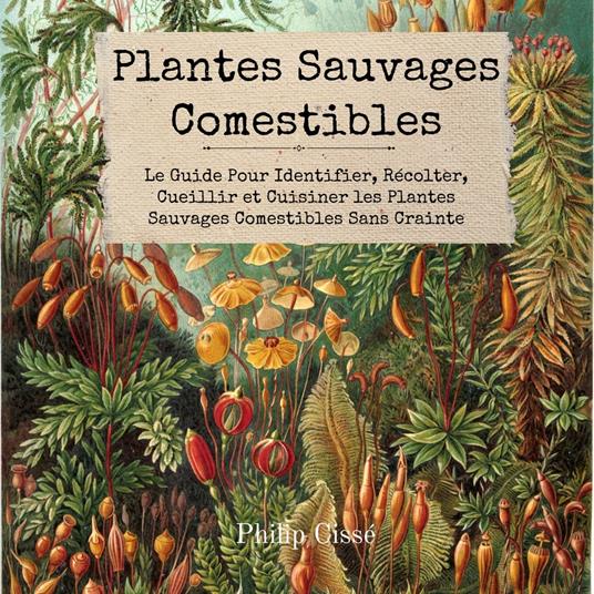 Plantes Sauvages Comestibles