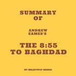 Summary of Andrew Eames's The 8:55 to Baghdad