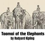 Toomai of the Elephants