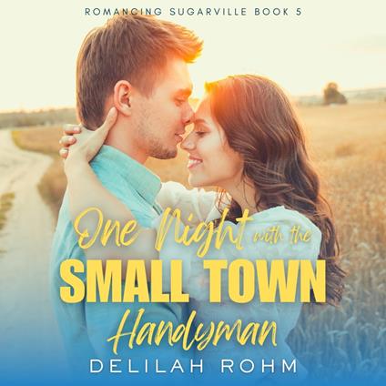 One Night With the Small Town Handyman