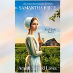 Amish Second Loves