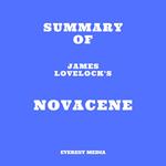 Summary of James Lovelock's Novacene