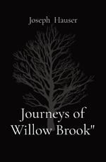 Journeys of Willow Brook