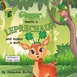 Ginger Meets a Leprechaun and makes a wish