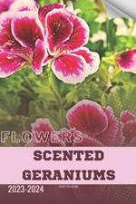 Scented Geraniums: Become flowers expert