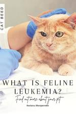 What is feline leukemia?: Find out more about your pet