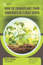 How to Transplant Your Tomatoes in 7 Easy Steps: Guide and overview