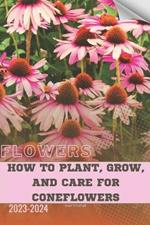 How to Plant, Grow, and Care For Coneflowers: Become flowers expert