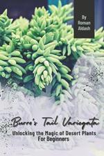 Burro's Tail Variegata: Unlocking the Magic of Desert Plants, For Beginners