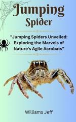 Jumping Spiders: 