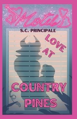 Love At Country Pines: Short, Steamy Stories from Pine Ridge - S C Principale - cover