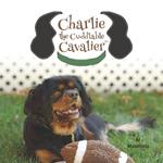 Charlie the Cuddlable Cavalier