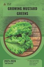 Growing Mustard Greens: Guide and overview