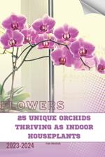 25 Unique Orchids Thriving as Indoor Houseplants: Become flowers expert