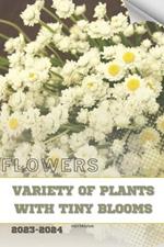 Variety of Plants with Tiny Blooms: Become flowers expert