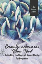 Crassula arborescens 'Blue Bird': Unlocking the Magic of Desert Plants, For Beginners