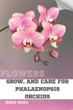 Grow, and Care for Phalaenopsis Orchids: Become flowers expert