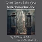 Ghost Beyond the Gate