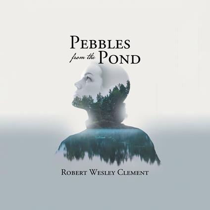 Pebbles From The Pond: A Teacher's Story