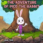 The Adventure of Pico the Rabbit