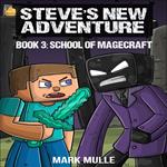 Steve's New Adventure Book 3