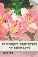 17 Unique Varieties of Pink Lily: Become flowers expert