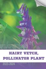 Hairy Vetch, Pollinator Plant: Become flowers expert