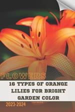 16 Types of Orange Lilies For Bright Garden Color: Become flowers expert