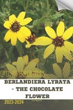 Berlandiera Lyrata - The Chocolate Flower: Become flowers expert