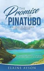 The Promise of Pinatubo: A Journey of Resilience and Compassion: Amidst the shadow of disaster, the human spirit shines brightest