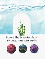 Explore The Seawater Herbs: More 30 Unique Herbs Under The Sea With Introductions, History, Benefits, And Combinations