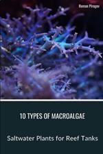 10 Types of Macroalgae: Saltwater Plants for Reef Tanks