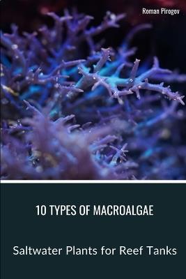 10 Types of Macroalgae: Saltwater Plants for Reef Tanks - Roman Pirogov - cover