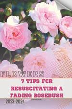 7 Tips For Resuscitating a Fading Rosebush: Become flowers expert