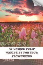 47 Unique Tulip Varieties for Your Flowerbeds: Become flowers expert