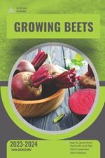 Growing Beets: Guide and overview