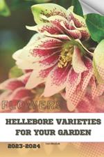 Hellebore Varieties for Your Garden: Become flowers expert