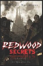 Redwood Secrets: A Catch In An Haunting Fog