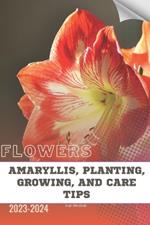 Amaryllis, Planting, Growing, and Care Tips: Become flowers expert