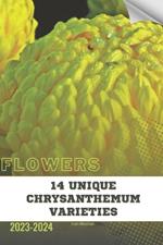 14 Unique Chrysanthemum Varieties: Become flowers expert